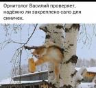 Прикрепленное изображение: Орнитолог.jpg