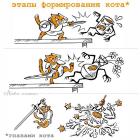 Прикрепленное изображение: Этапы формирования кота.jpg