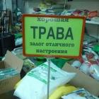 Прикрепленное изображение: Хорошая трава.jpg