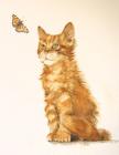 Прикрепленное изображение: Kitten-Butterfly.jpg