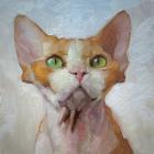 Прикрепленное изображение: IMG_2853.jpg