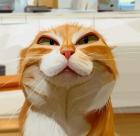 Прикрепленное изображение: 5i5LqQwe-VI.jpg