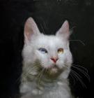 Прикрепленное изображение: IMG_3751.jpg