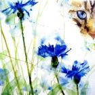 Прикрепленное изображение: 0AMgADJ7X-U.jpg