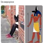 Прикрепленное изображение: 1769760620.jpg