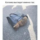 Прикрепленное изображение: котомка.jpg