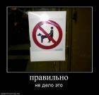 Прикрепленное изображение: _________856fa1d3.jpg