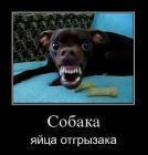 Прикрепленное изображение: x_c3eb6faa.jpg