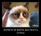 Прикрепленное изображение: C__Data_Users_DefApps_AppData_INTERNETEXPLORER_Temp_Saved Images_1363776509_046.jpg