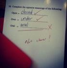 Прикрепленное изображение: нот клевер.jpg