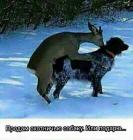 Прикрепленное изображение: image.jpeg