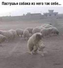 Прикрепленное изображение: NGlo86HhfFl.jpg