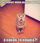 Прикрепленное изображение: 1585154673.jpg