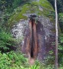 Прикрепленное изображение: VcpP8xPe-iI.jpg