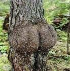 Прикрепленное изображение: -o2Sde1gCoI.jpg