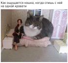 Прикрепленное изображение: QyaNSsynCE4.jpg