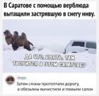 Прикрепленное изображение: 1648376435.jpg