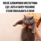 Прикрепленное изображение: 16560221.jpg