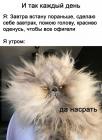 Прикрепленное изображение: Так каждый день.jpg