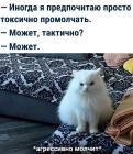 Прикрепленное изображение: Котик агрессивно молчит.jpg