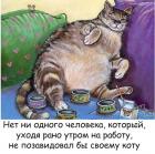 Прикрепленное изображение: Зависть к коту.jpg