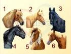 Прикрепленное изображение: Тест лошади.jpg