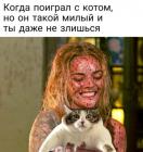 Прикрепленное изображение: поиграла с котом.jpg