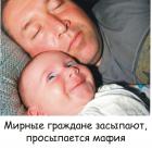 Прикрепленное изображение: Просыпается мафия.jpg