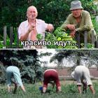 Прикрепленное изображение: красиво идут (для 8 марта).jpg