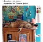 Прикрепленное изображение: Лежание.jpg