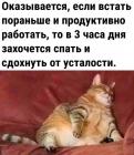 Прикрепленное изображение: Если встать пораньше.jpg