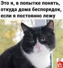 Прикрепленное изображение: Беспорядок дома.jpg