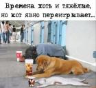 Прикрепленное изображение: 1742802510.jpg