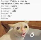Прикрепленное изображение: 1741545644.jpg