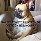 Прикрепленное изображение: 1742802539.jpg