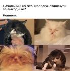 Прикрепленное изображение: Отдохнули за выходные.jpg