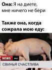 Прикрепленное изображение: Сожрала мою еду.jpg