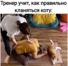 Прикрепленное изображение: кланяться коту.jpg
