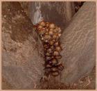 Прикрепленное изображение: 20070923_2439.jpg