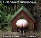 Прикрепленное изображение: 92425.jpg