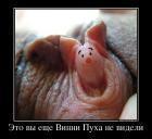 Прикрепленное изображение: _______.jpg