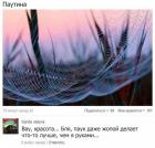 Прикрепленное изображение: IMG_1640.JPG