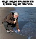 Прикрепленное изображение: image.jpeg