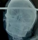 Прикрепленное изображение: 1555422318-1.jpg