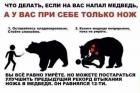 Прикрепленное изображение: Медведь напал.jpg