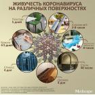 Прикрепленное изображение: Коронавирус - Живучесть на различных поверхностях.jpg