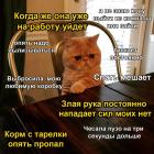 Прикрепленное изображение: enXXJyFp9lY.jpg