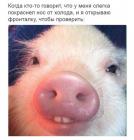 Прикрепленное изображение: IMG_20200409_161235_721.jpg