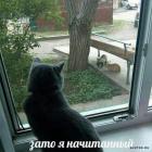 Прикрепленное изображение: 1618993070.jpg