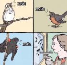 Прикрепленное изображение: Птички весна.jpg